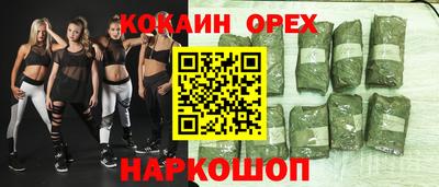 гидра Будённовск