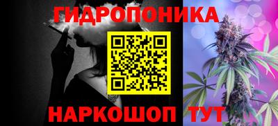 гидра Будённовск