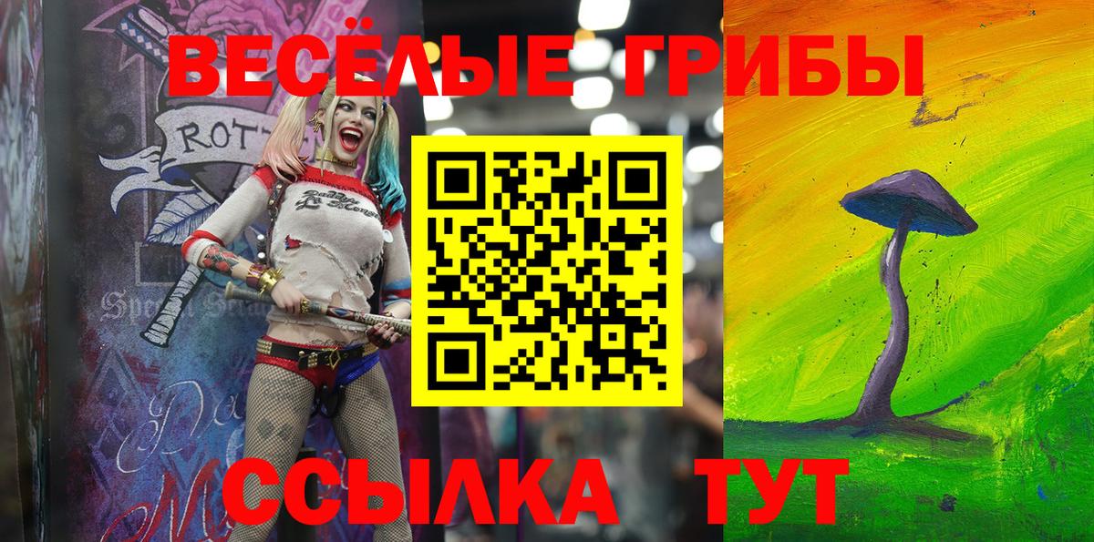 Псилоцибиновые грибы Psilocybine cubensis Карабулак