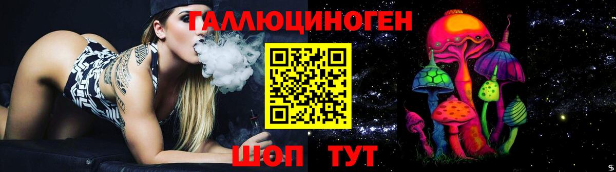хочу наркоту  Вход с VPN  Карабулак  Галлюциногенные грибы Psilocybe 